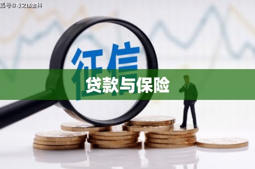 安南贷款与保险
