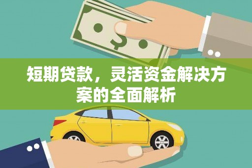 安南短期贷款，灵活资金解决方案的全面解析