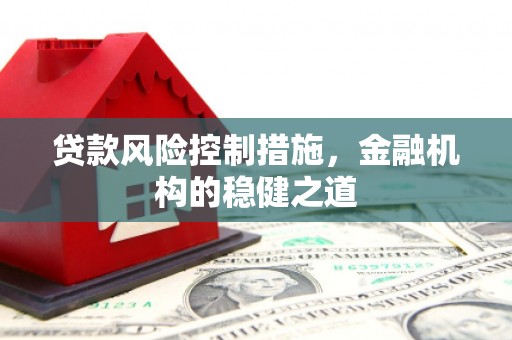 安南贷款风险控制措施，金融机构的稳健之道