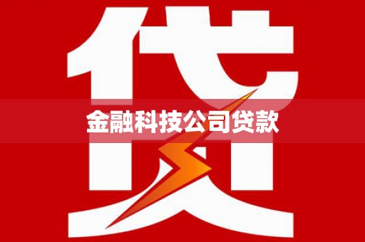 安南金融科技公司贷款