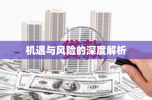 安南机遇与风险的深度解析