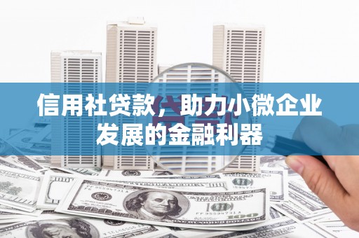安南信用社贷款，助力小微企业发展的金融利器