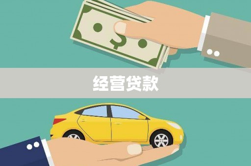 安南经营贷款