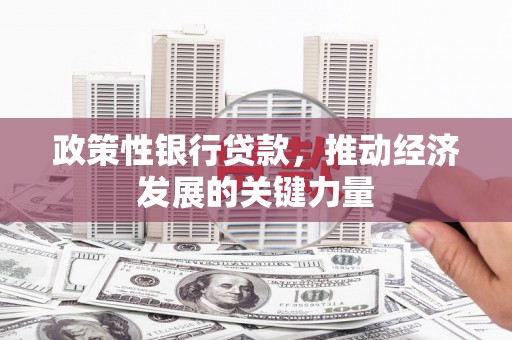 安南政策性银行贷款，推动经济发展的关键力量