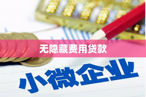 安南无隐藏费用贷款