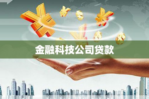 安南金融科技公司贷款