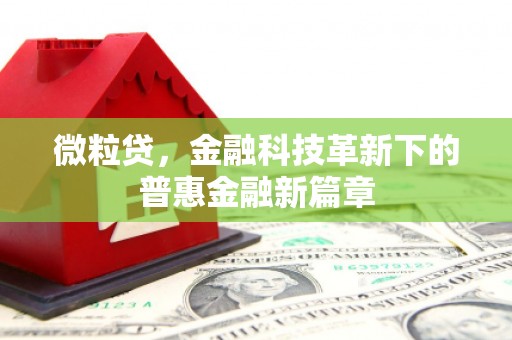 安南微粒贷，金融科技革新下的普惠金融新篇章