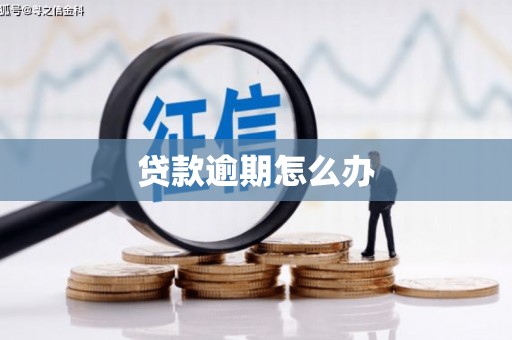 安南贷款逾期怎么办