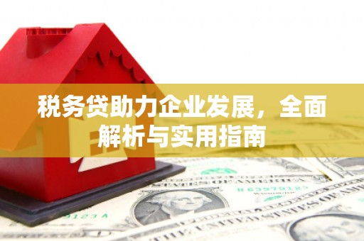 安南税务贷助力企业发展，全面解析与实用指南
