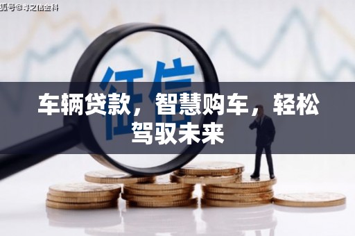 安南车辆贷款，智慧购车，轻松驾驭未来