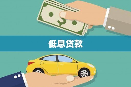 安南低息贷款