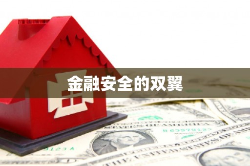 安南金融安全的双翼