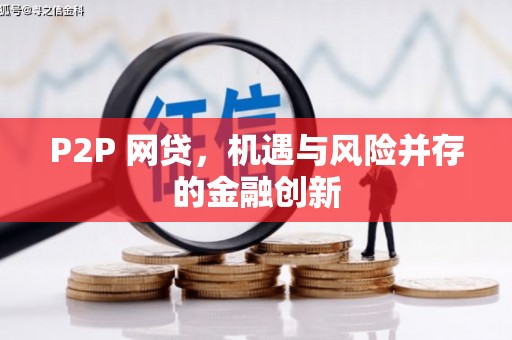 安南P2P 网贷，机遇与风险并存的金融创新