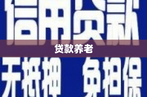 安南贷款养老