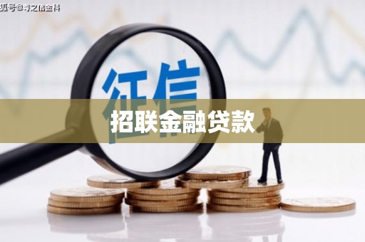 安南招联金融贷款