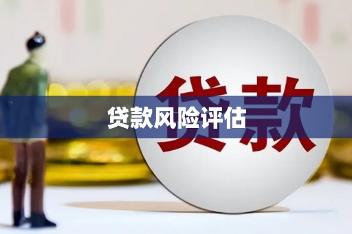 安南贷款风险评估