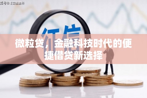 安南微粒贷，金融科技时代的便捷借贷新选择
