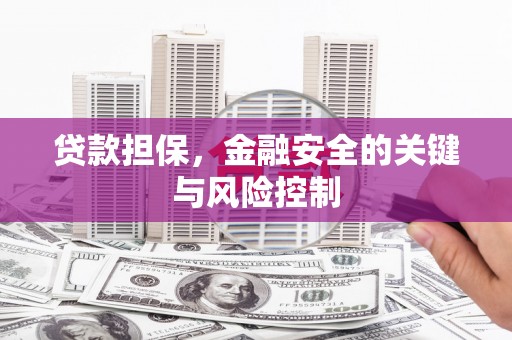 安南贷款担保，金融安全的关键与风险控制