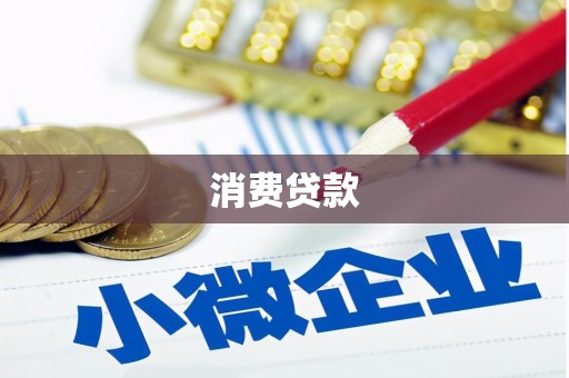 安南消费贷款