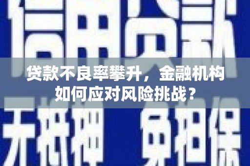 安南贷款不良率攀升，金融机构如何应对风险挑战？