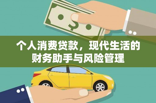 安南个人消费贷款，现代生活的财务助手与风险管理