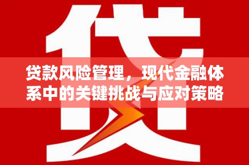 安南贷款风险管理，现代金融体系中的关键挑战与应对策略