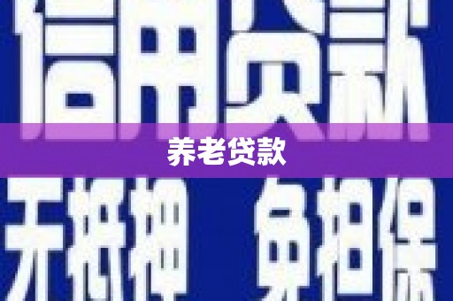 安南养老贷款