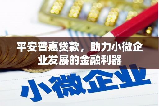 安南平安普惠贷款，助力小微企业发展的金融利器