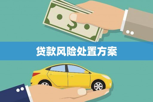 安南贷款风险处置方案