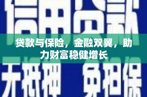 安南贷款与保险，金融双翼，助力财富稳健增长
