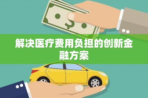 安南解决医疗费用负担的创新金融方案