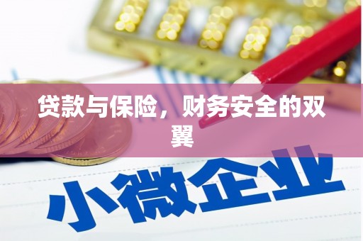 安南贷款与保险，财务安全的双翼