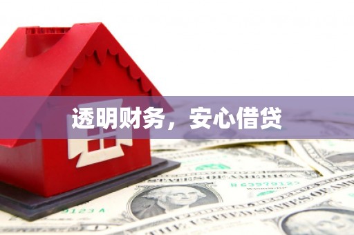 安南透明财务，安心借贷