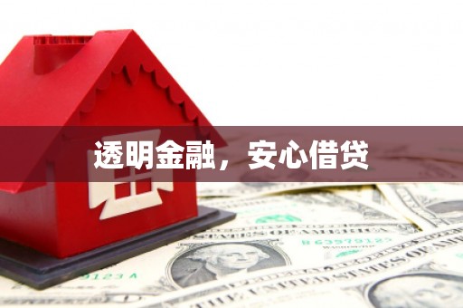 安南透明金融，安心借贷