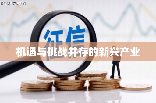 安南机遇与挑战并存的新兴产业