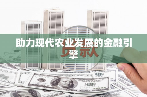 安南助力现代农业发展的金融引擎