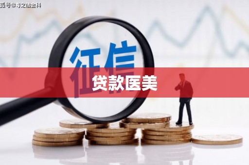 安南贷款医美