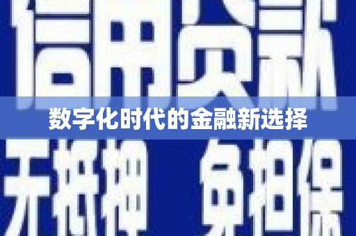 安南数字化时代的金融新选择