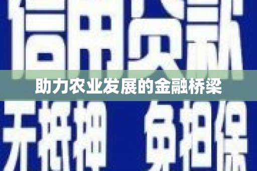 安南助力农业发展的金融桥梁