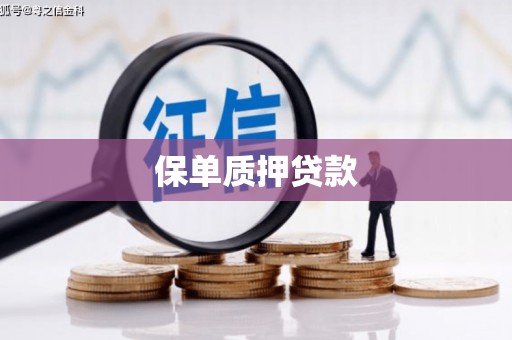 安南保单质押贷款