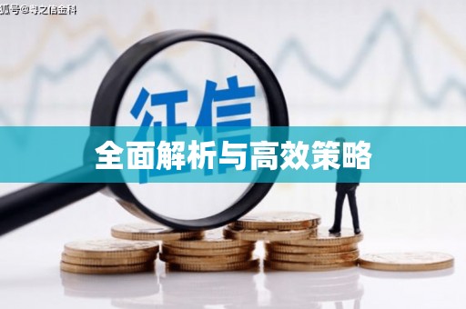 安南全面解析与高效策略