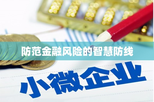 安南防范金融风险的智慧防线