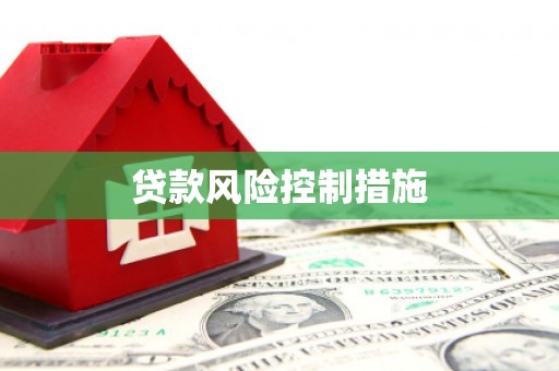 安南贷款风险控制措施