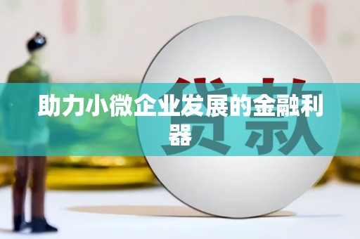 安南助力小微企业发展的金融利器