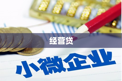 安南经营贷