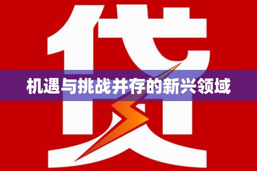 安南机遇与挑战并存的新兴领域