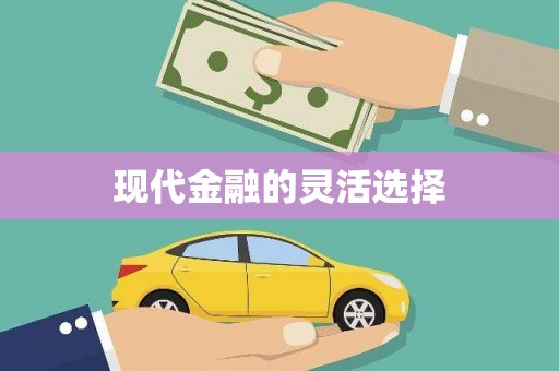 安南现代金融的灵活选择