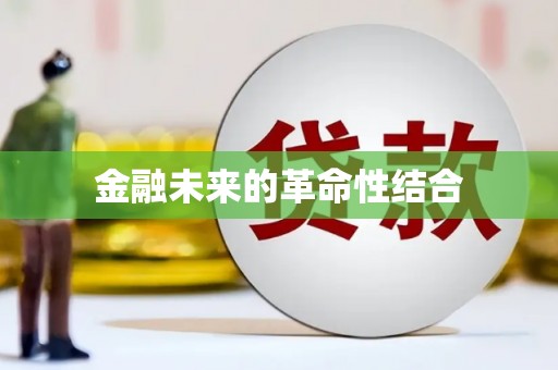 安南金融未来的革命性结合