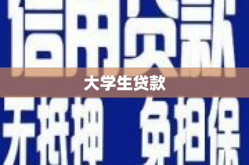 安南大学生贷款