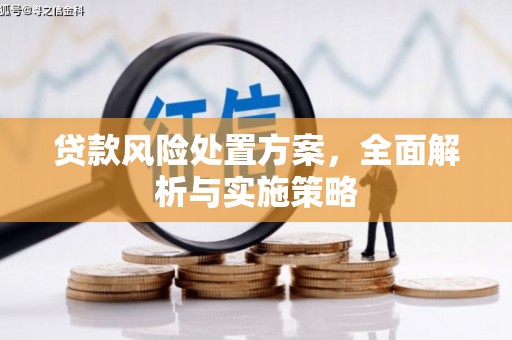 安南贷款风险处置方案，全面解析与实施策略